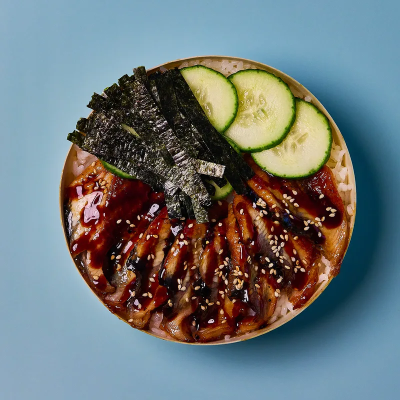 Unagi Donburi